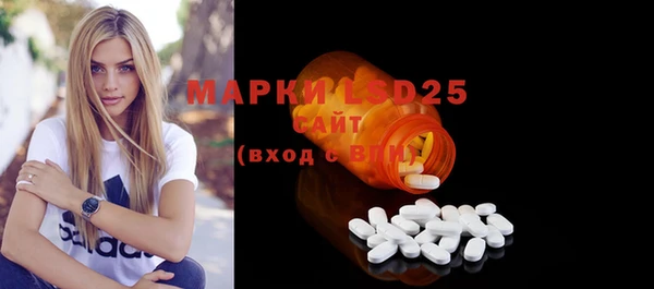 гидра Михайловка