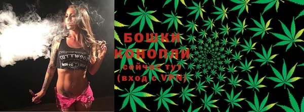 гидра Михайловка