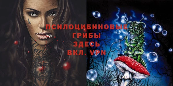 дурь Михайлов