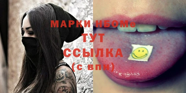 гидра Михайловка