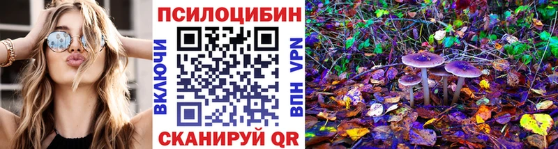 Псилоцибиновые грибы мицелий  Купить закладки  Зуевка 
