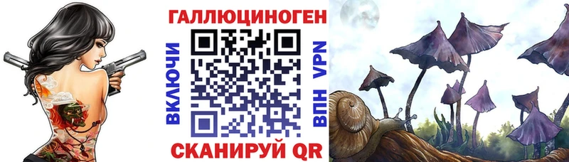 Галлюциногенные грибы Psilocybe Зуевка